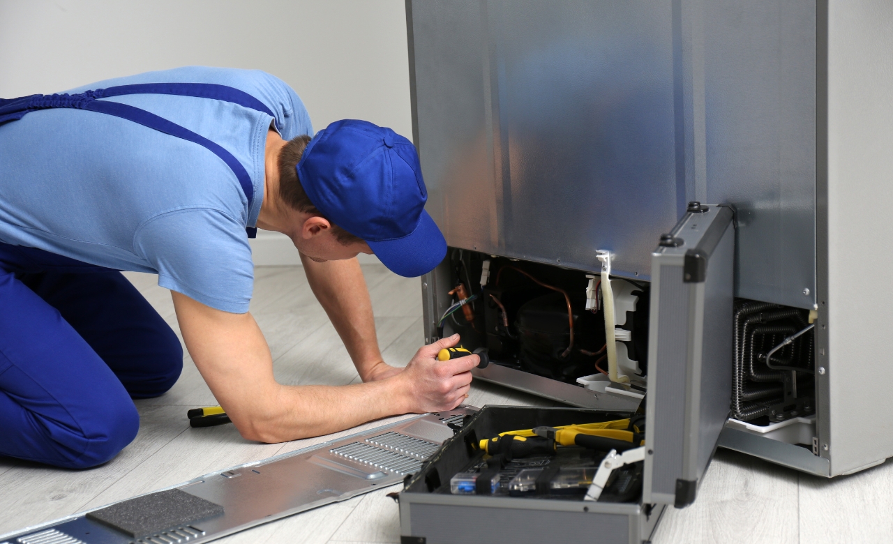 Freezer Repair service